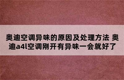 奥迪空调异味的原因及处理方法 奥迪a4l空调刚开有异味一会就好了